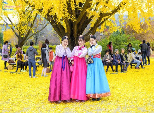 Chào Thu 2019 với Asiana Airlines 5 sao: Seoul-Nami-Everland-Tháp Namsan Chào Thu 2019 với Asiana Airlines 5 sao: Seoul-Nami-Everland-Tháp Namsan